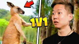 ANIMALS WE COULD BEAT IN A FIGHT!?