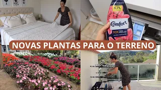 CUIDANDO DO LAR, MUDEI DE AMACIANTE E AMEI, CUIDANDO DO CABELO, COMPRAMOS ÁRVORES FRUTÍFERAS