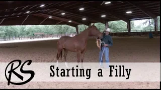 Handling and Starting a Two Year Old Filly