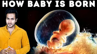 How Baby Grows in Mother's Stomach? | Complete Lifecycle of a Baby Inside a Womb