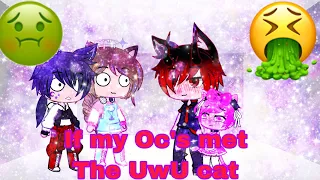 If my oc’s met the UwU cat||Gacha club