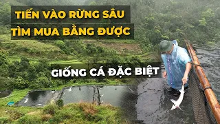 Ăn cá tầm nhà ông cụ người Dao đi lính năm 1975 nghe tin giải phóng liền quay về