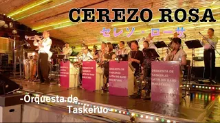 【ｾﾚｿﾛｰｻ(CEREZO ROSA) 】(ﾍﾟﾚｽ•ﾌﾟﾗｰﾄﾞ楽団/Perez Prado Orch.) feat. Trumpet  -Orquesta de Taskeruo (2023)-