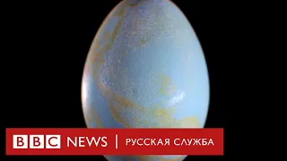 Яйцо: самое совершенное творение природы | Документальный фильм Би-би-си