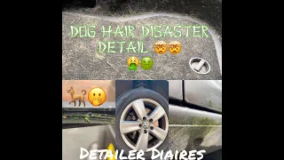 DISASTER DOG HAIR DETAIL - Detailer Diaries - VW CADDY #cardetailing #autodetailing #detailing