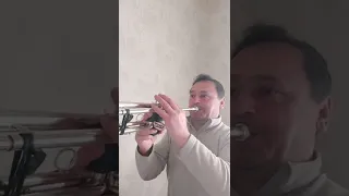 Lume  lume. ❤🎺.( cover).Live trompeta Cornel Solomon. 🎺