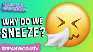 Why Do You Sneeze? | COLOSSAL QUESTIONS