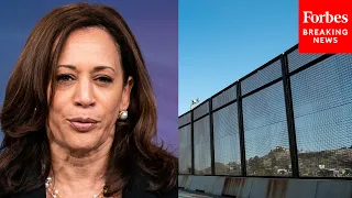 'She's Giggling!': GOP Lawmaker Rips Harris After She Was Supposed To Address Causes Of Migration