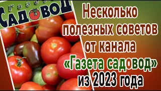 Несколько полезных советов от канала "Газета садовод" из 2023 года