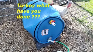 Farm biogas project (Part 2) and a new animal waterer failed