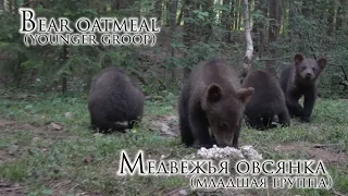 Медвежья овсянка (младшая группа)/Bear oatmeal (younger group)