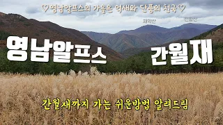 억새와 단풍의 천국 영남알프스 [간월재] 최단 코스/쉬운 코스 (feat.하이트레일 나인피크)