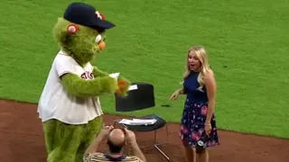 MLB Mascot Funny Moments