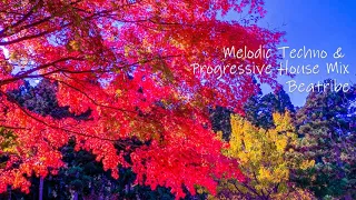 【BGM】Melodic Techno & Progressive House Mix 2022 Nov  / Beatribe