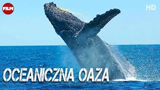 Oceaniczna Oaza | Film Dokumentalny | IMAX | Lektor PL | HD | Całość | Za darmo | Film przyrodniczy