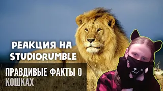 Правдивые факты о кошках (Озвучка Rumble) / РЕАКЦИЯ НА StudioRumble