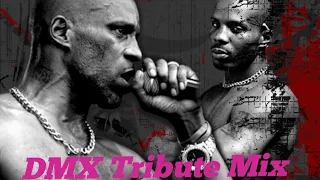 DMX Tribute Mix (Clean) Djhollow868