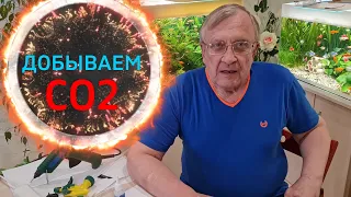 #16 Система подачи углекислого газа (CO2) своими руками.   Аквариумистика с Геннадием Посейдонычем