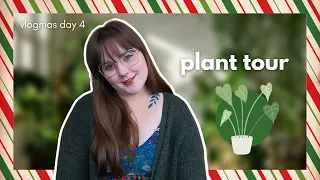 an introduction to all my plants | plant hospital | getting plants ready for winter | vlogmas 2022