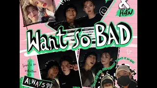 [Stray Kids] Lee Know & Han-"Want So BAD" 1hour