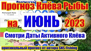 Календарь рыбака на Июнь 2023 Прогноз клева рыбы на Эту неделю Лунный календарь рыбака