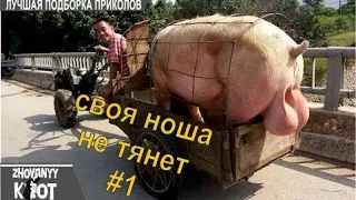 Улетная подборка приколов/ Best compilation of jokes – ВЫПУСК #1 (октябрь 2015)