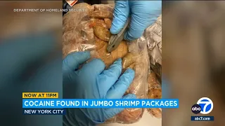 Man arrested for allegedly smuggling cocaine in bags of jumbo shrimp in New York