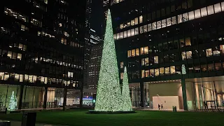 Toronto Live - Another Friday Night Ghost Town on December 4, 2020
