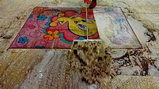 Extremely dirty carpet cleaning satisfying rug cleaning ASMR