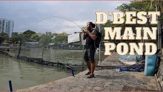 A Short Session over at DBest Fishing Pond| D'Best Million Dollar Fishing | Singapore