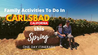 Things to do in Carlsbad, California | Best Spring Break Family Destination | One-day Itinerary