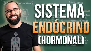 Sistema Endócrino (HORMONAL) - Aula 32 - Módulo 7: Fisiologia Humana