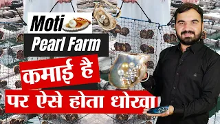 धोखा मोती की खेती | Why farmers fail in pearl farming | Oyster farming | Moti ki kheti | Moti farm