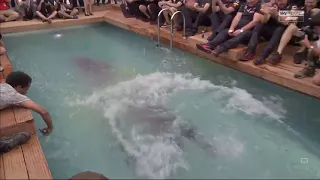 Red Bull's Daniel Ricciardo Falls Into The Pool **Live Footage**