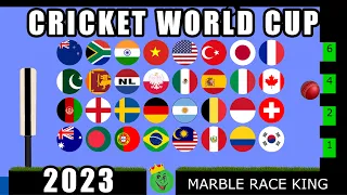 2023 Cricket World Cup Marble Race  Marble Race King