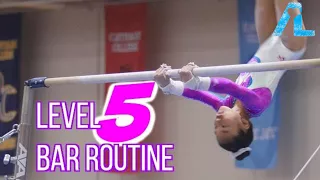 Alizé Lee | USA Gymnastics Level 5 Bar Routine