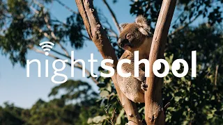 NightSchool: Down Under