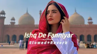 Ishq De Fanniyar [Slowed+Reverb+Lofi] Song | Rang De Ranjheya