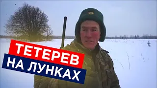 Охота на тетерева зимой с подхода на лунках