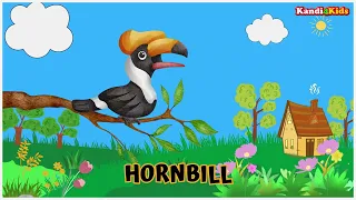 Birds name | birds name with spellings, pictures and video l Birds Name In English for kids