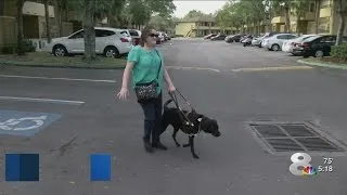 Blind Tampa Bay area woman believes Uber driver refused ride because of service dog