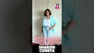 Sharon Cuneta, sa netizen "Kung ako kausap mo gamitin mo utak mo kung may konti pa"