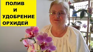 ПОЛИВ И УДОБРЕНИЕ ОРХИДЕЙ ФАЛЕНОПСИСОВ... НИКОГДА ТАКОГО НЕ БЫЛО - И ВОТ ОПЯТЬ