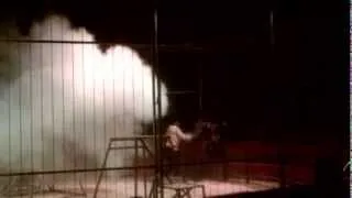Incredible Footage : Tiger attacks circus trainer in front of audience!