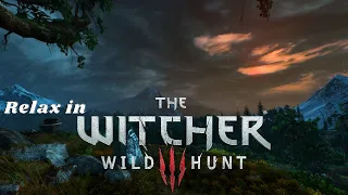 Relaxing Thunderstorm Ambience in The Witcher 3 : Wild Hunt ~ Video Game Sounds  For Sleep & Chill