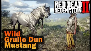 Red Dead Redemption 2 Wild Grullo Dun Mustang Horse Location and Taming
