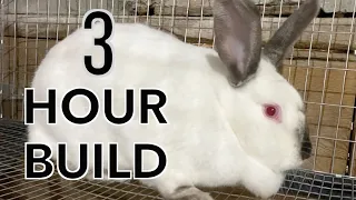 How To Build a DIY Rabbit Cage - Cheap & Easy