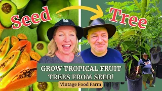 Grow Tropical Fruit Trees FROM SEED! EASY! 😁🌳🍋🥑🥭