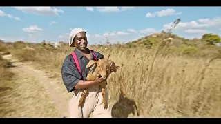 Baba Harare - Tsamba Yerufu {Official Video}