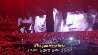 [직관/자막] Pink Floyd - Wish You Were Here ( Roger Waters, This is not a drill)